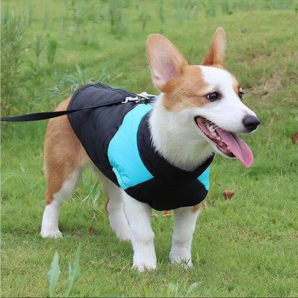 Weatherproof padded doggie coat!